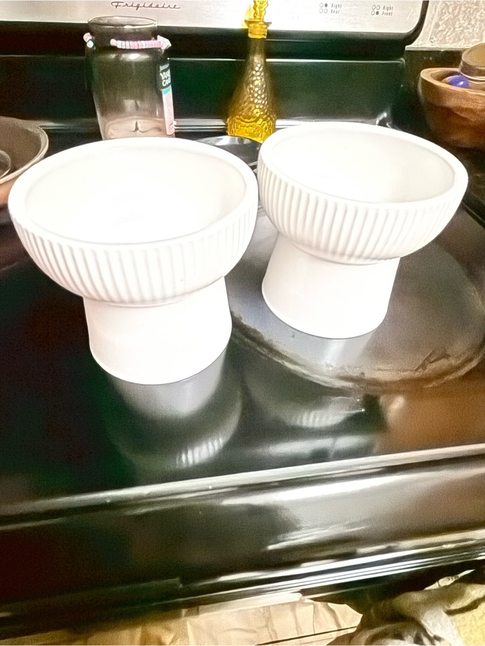 White Ceramic Fishbone Pet Food and Water Bowl - Set of 2